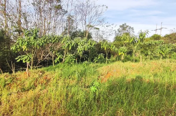 Terreno para venda,  - Selecione - Bairro, Panambi