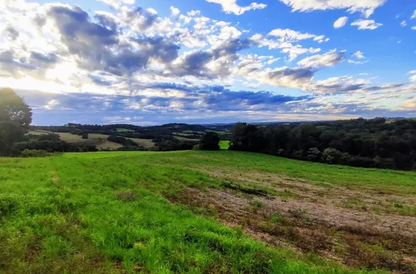 Sítio para ,  Linha Morengaba, Panambi