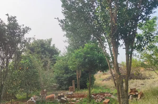 Terreno para venda,  Zona Norte, Panambi