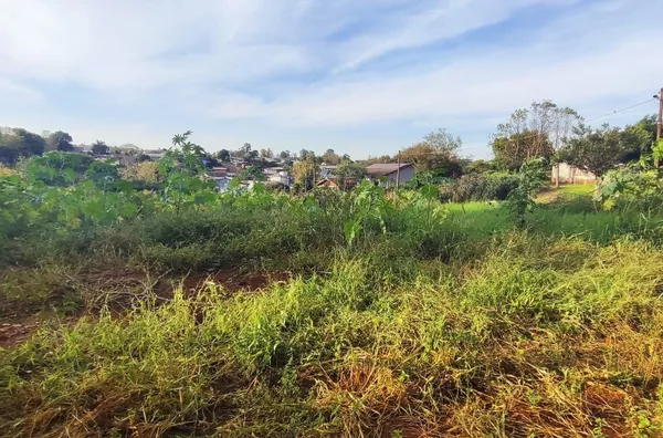 Terreno para ,  Erica, Panambi