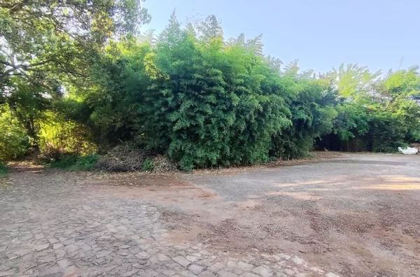 Terreno para comprar,  - Selecione - Bairro, Panambi