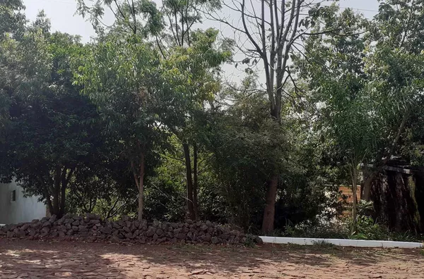 Terreno para ,  Bela Vista, Panambi