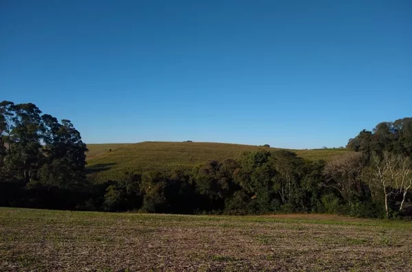 ÁREA DE TERRAS PARA VENDA