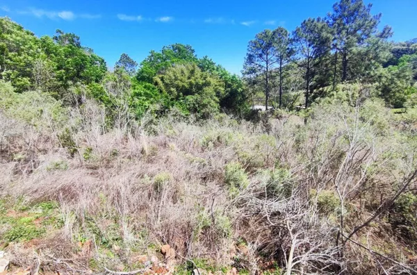 Terreno para comprar,  Italiana, Panambi