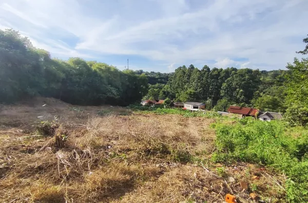 Terreno para venda,  Alto Paraíso, Panambi
