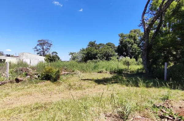 Terreno para ,  Trentini, Panambi