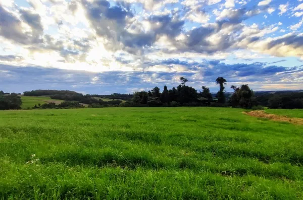 Sítio para ,  Linha Morengaba, Panambi