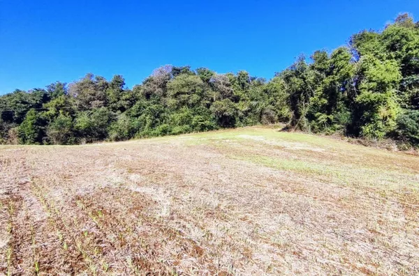 Fazenda para comprar,  Linha Fiúza, Panambi