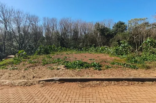 Terreno para comprar,  Pavão, Panambi
