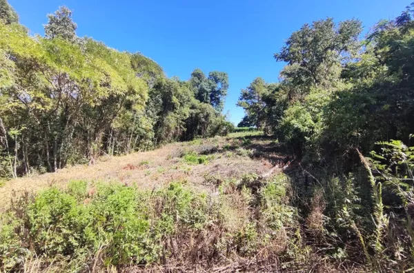 Terreno para venda,  Parque Moinho Velho, Panambi