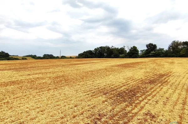 Fazenda para venda,  Linha Maraney, Panambi