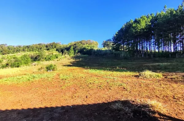 Chácara para comprar,  Linha Morengaba, Panambi