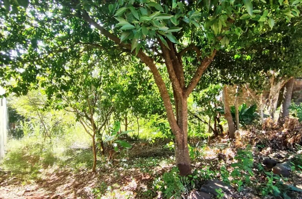 Terreno para ,  Bela Vista, Panambi