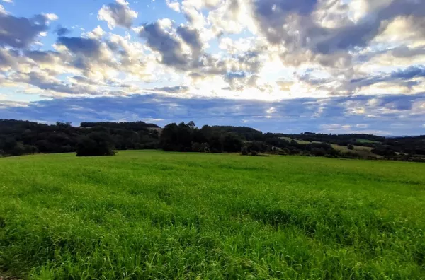 Sítio para ,  Linha Morengaba, Panambi