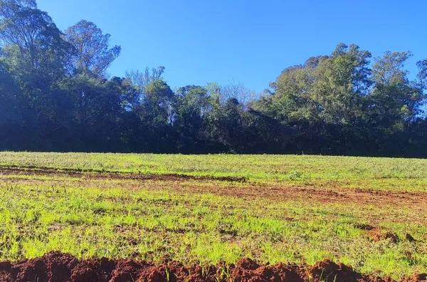 Terreno para venda,  Becker, Panambi