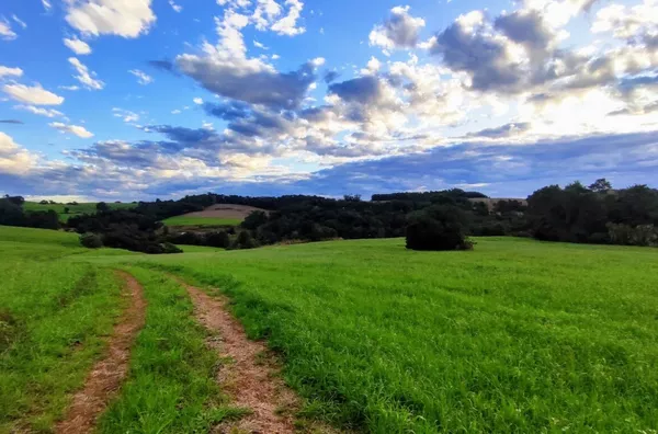 Sítio para ,  Linha Morengaba, Panambi