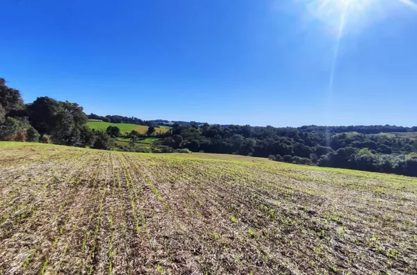 Fazenda para comprar,  Linha Fiúza, Panambi