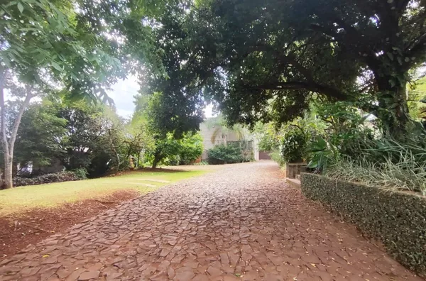 Comercial para comprar,  Zona Norte, Panambi