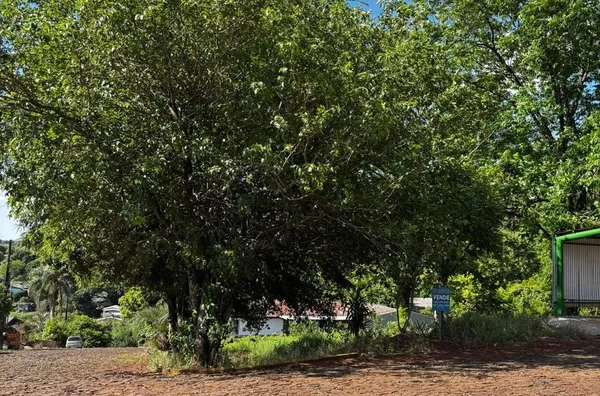 Terreno para comprar,  Serrana, Panambi