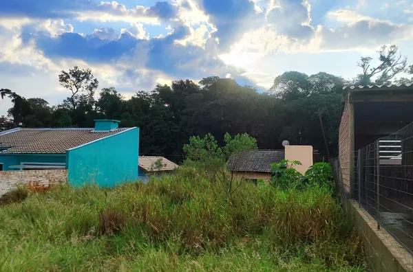 Terreno para ,  Trentini, Panambi