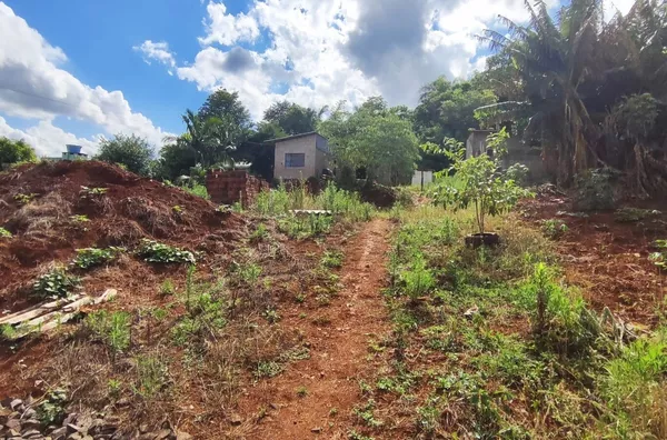 Terreno para ,  Trentini, Panambi