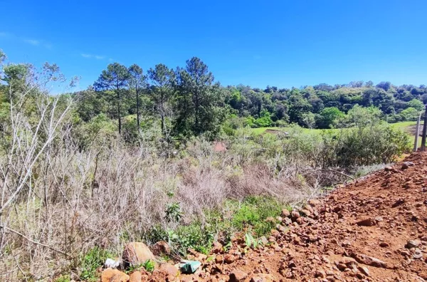 Terreno para comprar,  Italiana, Panambi