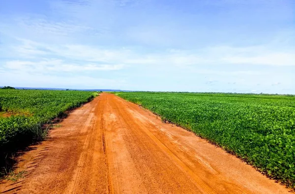 área de terras para venda