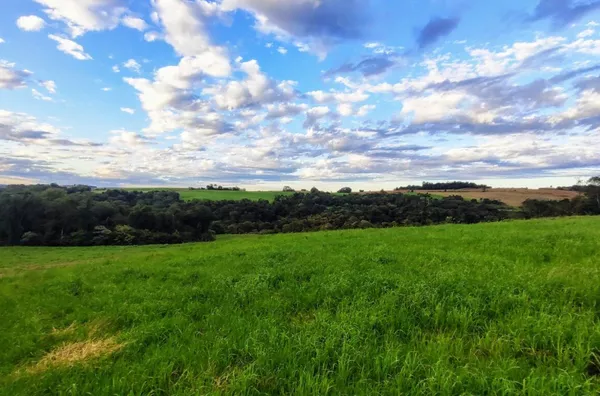 Sítio para ,  Linha Morengaba, Panambi