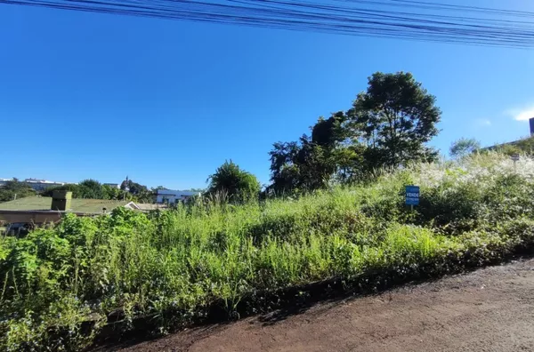 Terreno para comprar,  Fritsch, Panambi