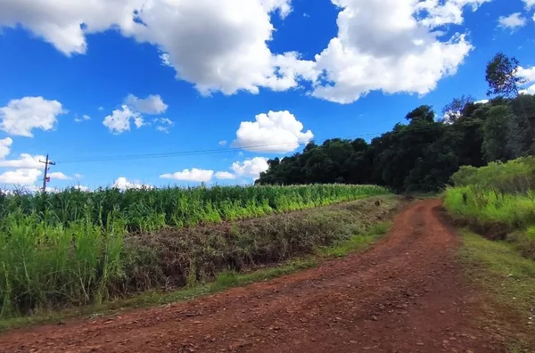 Chácara para ,  - Selecione - Bairro, Panambi