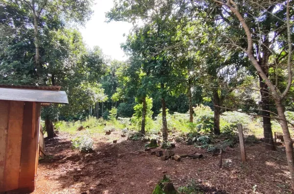 Chácara para venda, 2 quarto(s),  Linha Timbará, Panambi