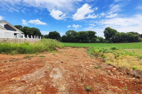 Terreno para venda,  Erica, Panambi