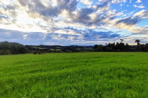 Sítio para ,  Linha Morengaba, Panambi