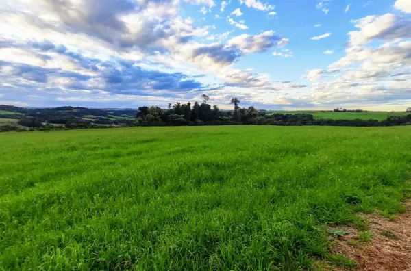 Sítio para ,  Linha Morengaba, Panambi