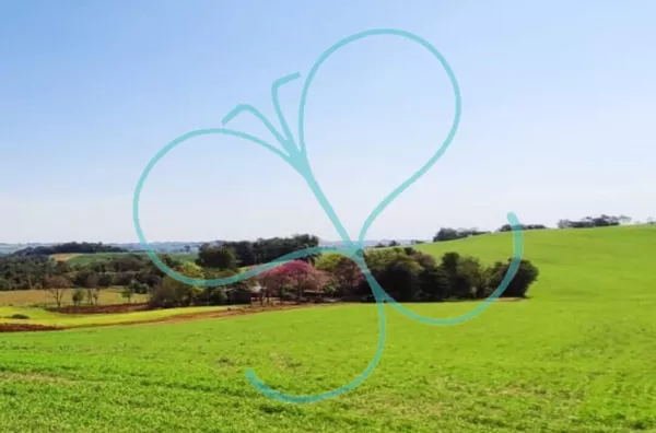 Fazenda para venda,  Linha Maraney, Panambi