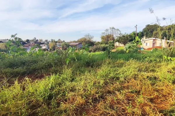 Terreno para ,  Erica, Panambi