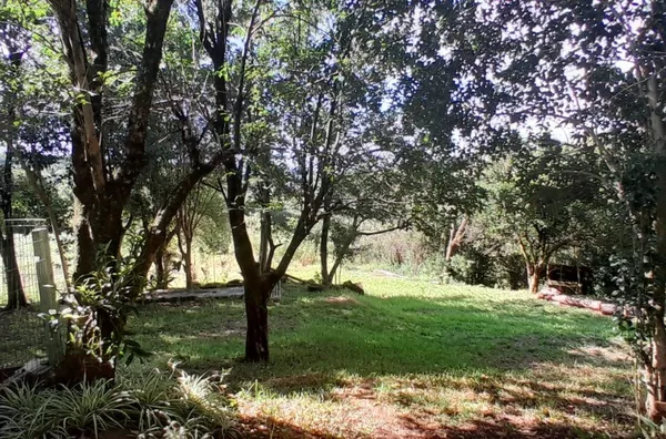 Chácara para comprar,  Linha Assis Brasil, Panambi