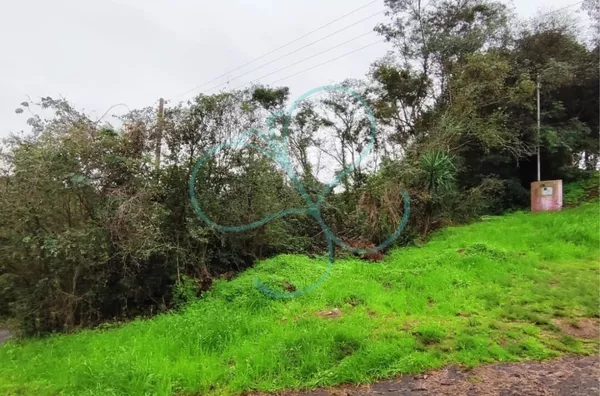 Terreno para venda,  Becker, Panambi