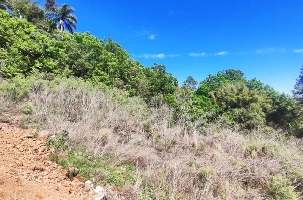 Terreno para comprar,  Italiana, Panambi