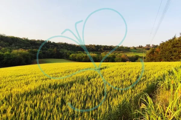 Chácara para venda,  - Selecione - Bairro, Panambi