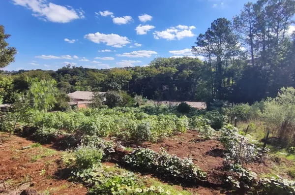 Terreno para venda,  Becker, Panambi