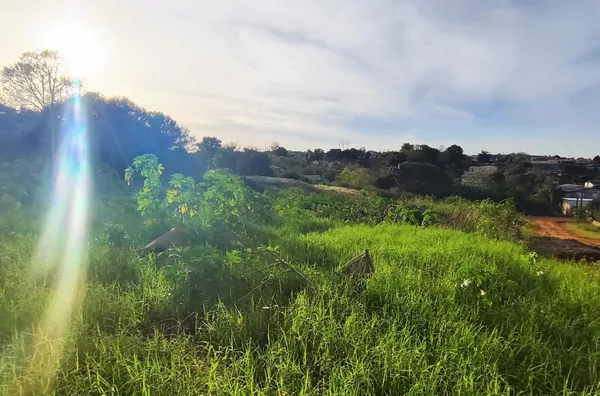 Terreno para ,  Erica, Panambi