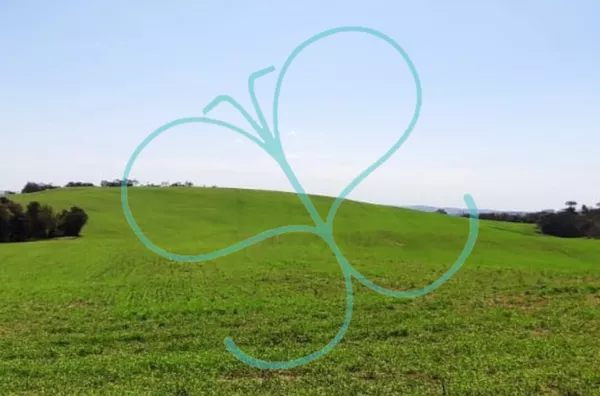 Fazenda para venda,  Linha Maraney, Panambi