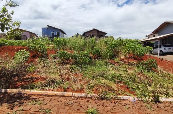Terreno para venda,  Trentini, Panambi
