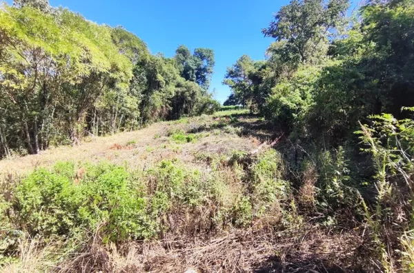 Terreno para venda,  Parque Moinho Velho, Panambi