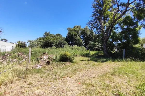 Terreno para ,  Trentini, Panambi