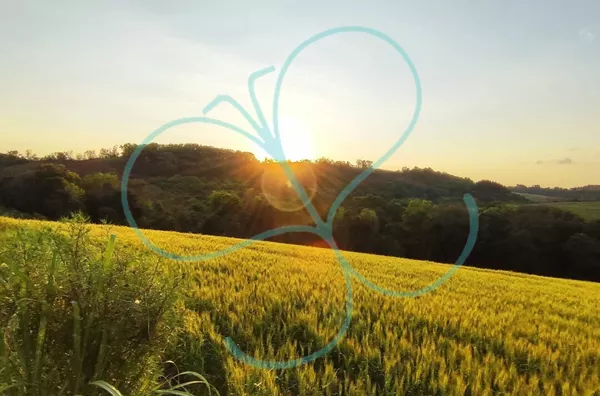 Chácara para venda,  - Selecione - Bairro, Panambi
