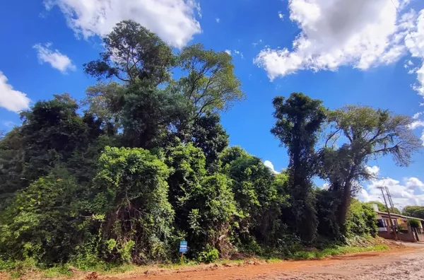 Terreno para ,  Arco-íris, Panambi