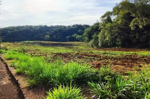 Terreno para venda,  Italiana, Panambi
