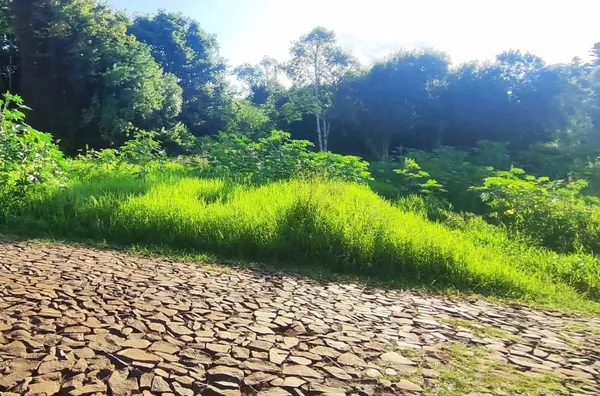 Terreno para venda,  Erica, Panambi